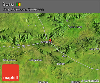 Satellite Map of Bossi