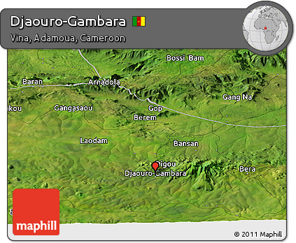 Satellite Panoramic Map of Djaouro-Gambara