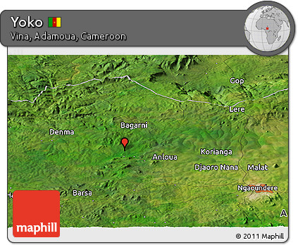 Satellite Panoramic Map of Yoko