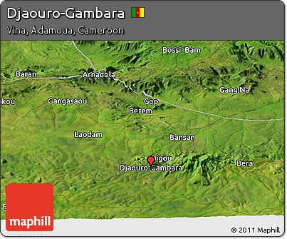 Satellite Panoramic Map of Djaouro-Gambara