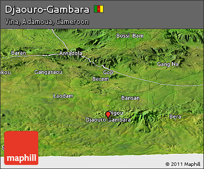 Satellite Panoramic Map of Djaouro-Gambara