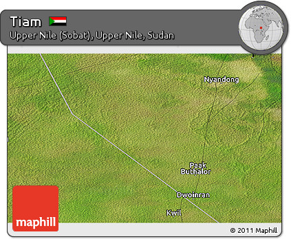 Satellite Panoramic Map of Tiam