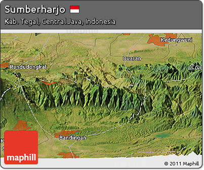 Satellite Panoramic Map of Sumberharjo