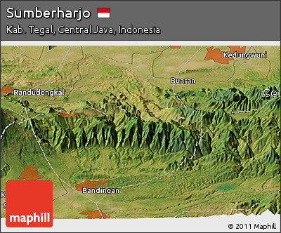 Satellite Panoramic Map of Sumberharjo