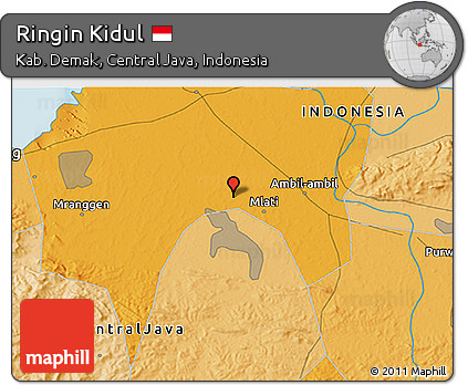 Political 3D Map of Ringin Kidul