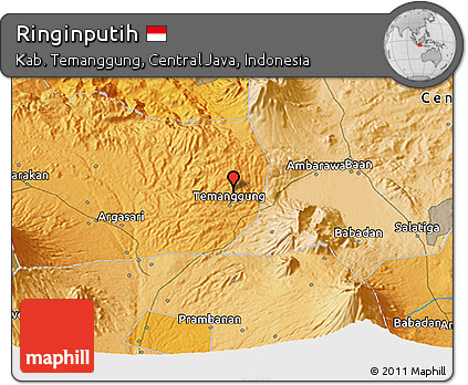 Political 3D Map of Ringinputih