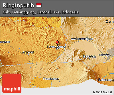 Political 3D Map of Ringinputih