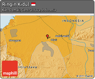 Political 3D Map of Ringin Kidul