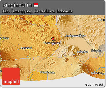 Political 3D Map of Ringinputih