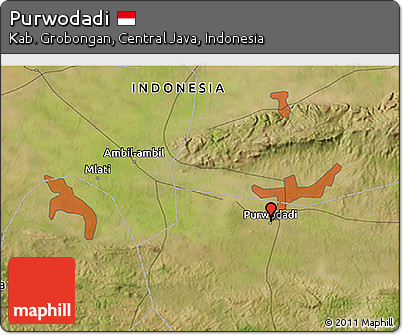 Satellite 3D Map of Purwodadi