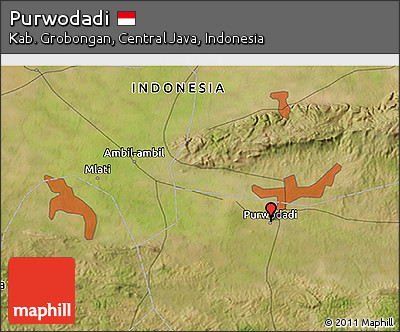 Satellite 3D Map of Purwodadi