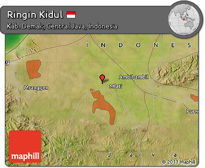 Satellite Map of Ringin Kidul