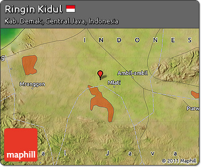 Satellite Map of Ringin Kidul