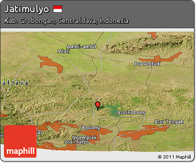 Satellite Panoramic Map of Jatimulyo