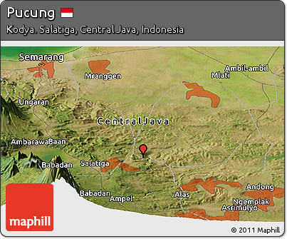 Satellite Panoramic Map of Pucung