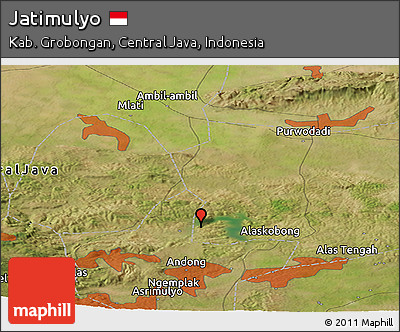 Satellite Panoramic Map of Jatimulyo