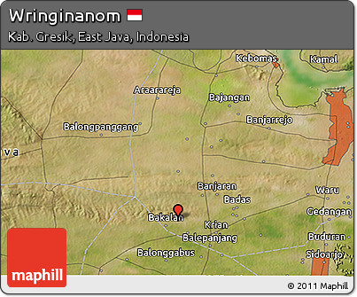 Satellite 3D Map of Wringinanom