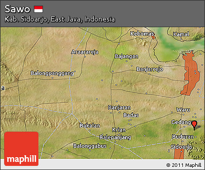 Satellite 3D Map of Sawo