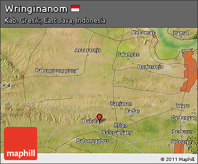 Satellite 3D Map of Wringinanom