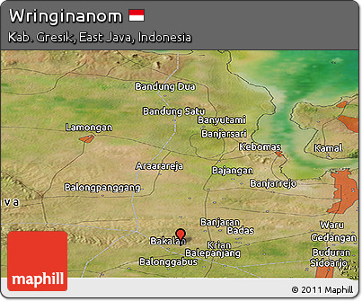 Satellite Panoramic Map of Wringinanom