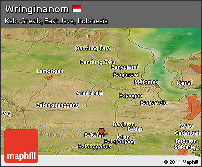 Satellite Panoramic Map of Wringinanom
