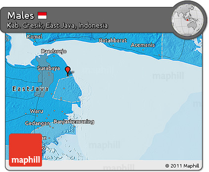 Political 3D Map of Males