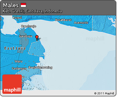 Political 3D Map of Males