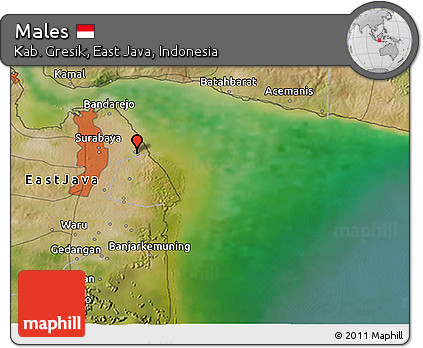 Satellite 3D Map of Males