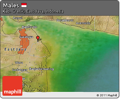Satellite 3D Map of Males
