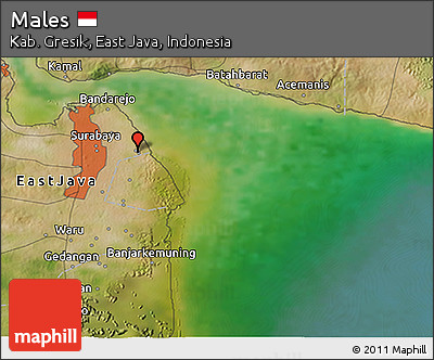 Satellite 3D Map of Males