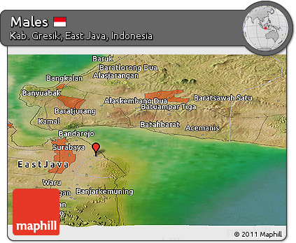 Satellite Panoramic Map of Males