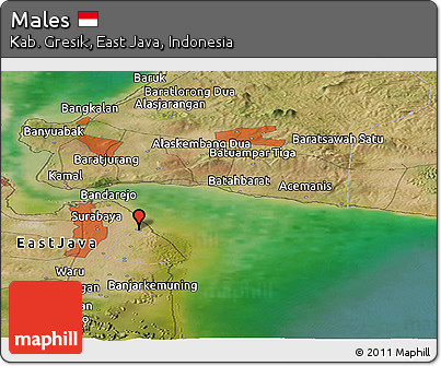 Satellite Panoramic Map of Males