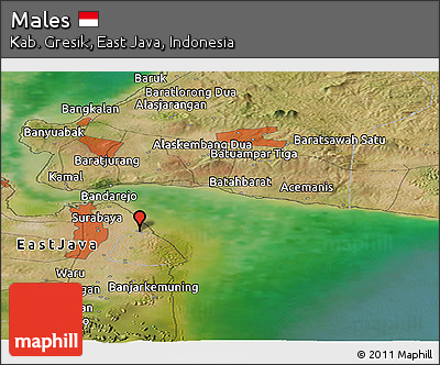 Satellite Panoramic Map of Males