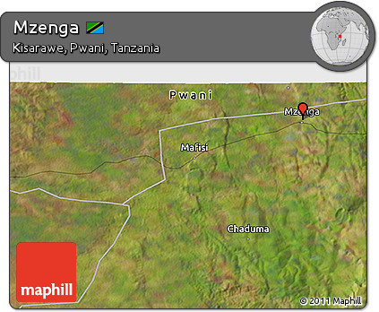 Satellite 3D Map of Mzenga