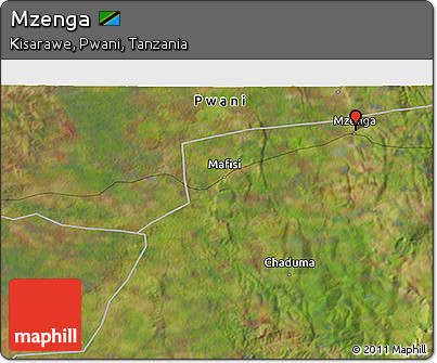 Satellite 3D Map of Mzenga