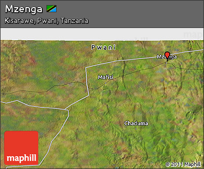 Satellite 3D Map of Mzenga