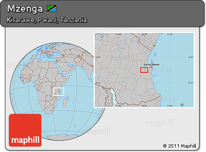 Gray Location Map of Mzenga