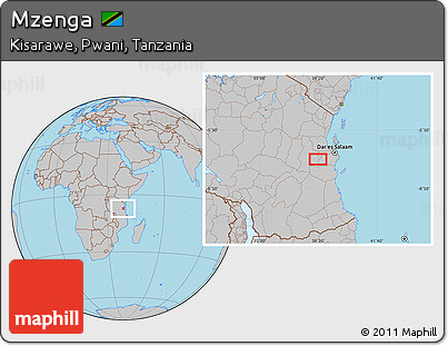 Gray Location Map of Mzenga