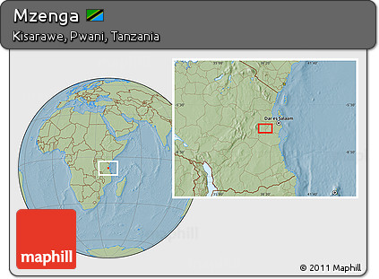 Savanna Style Location Map of Mzenga, hill shading