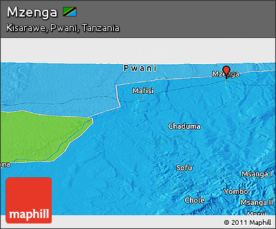 Political Panoramic Map of Mzenga