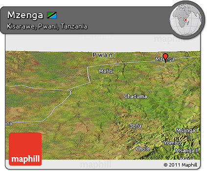 Satellite Panoramic Map of Mzenga