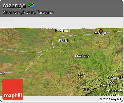 Satellite Panoramic Map of Mzenga