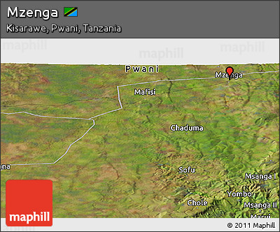 Satellite Panoramic Map of Mzenga