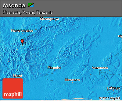 Political 3D Map of Msonga