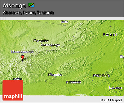 Physical Panoramic Map of Msonga