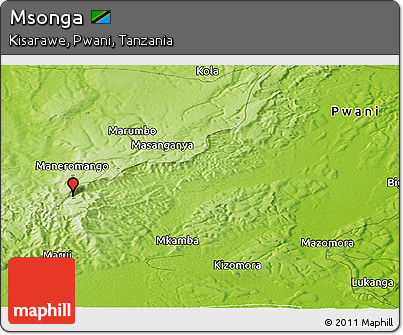 Physical Panoramic Map of Msonga