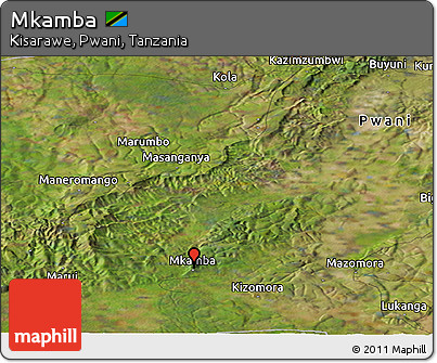 Satellite Panoramic Map of Mkamba