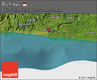 Satellite Panoramic Map of Buniayu