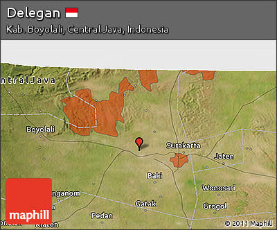 Satellite 3D Map of Delegan