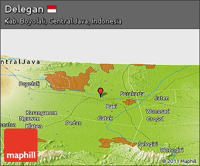 Physical Panoramic Map of Delegan